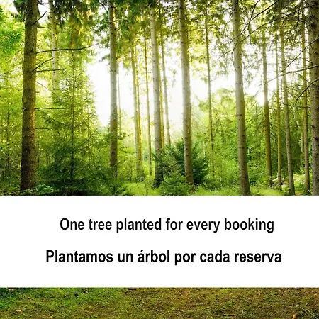 Fidalsa Grand Mediterranean Beachfront ヴィラ